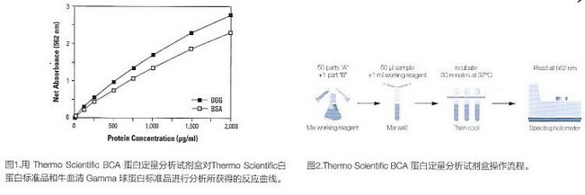 Thermo Scientific經典暢銷-Pierce BCA蛋白定量試劑盒23227
